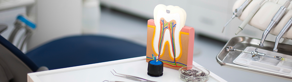 FEEL SO GOOD DENTAL CLINIC